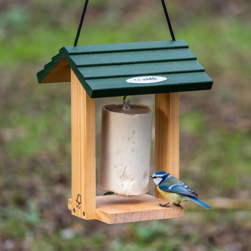 Pindacakehuis Cervina