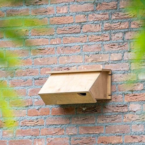 Vivara nestkast gierzwaluw hout