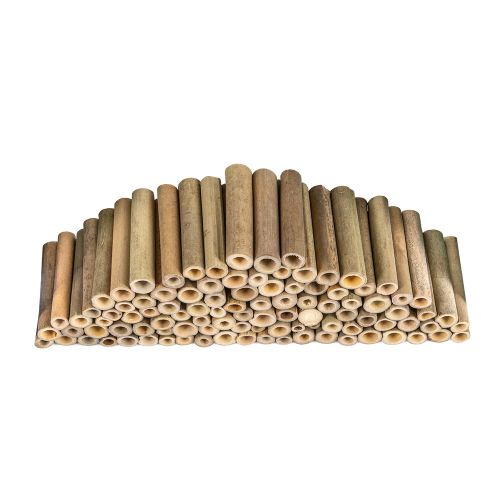 100 Navulbuisjes 70mm voor Salina insectenhotel