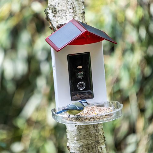 Voedersysteem voor tuinvogels met smart AI camera