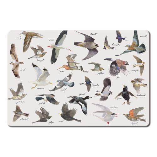 Placemat Vogels