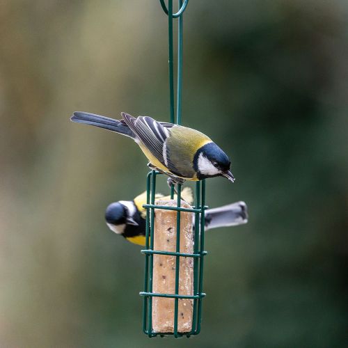 Energierolhouder en -schep Peru