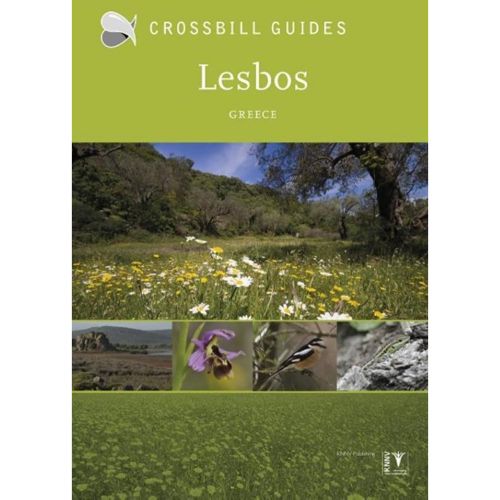 Crossbill Guide Lesbos