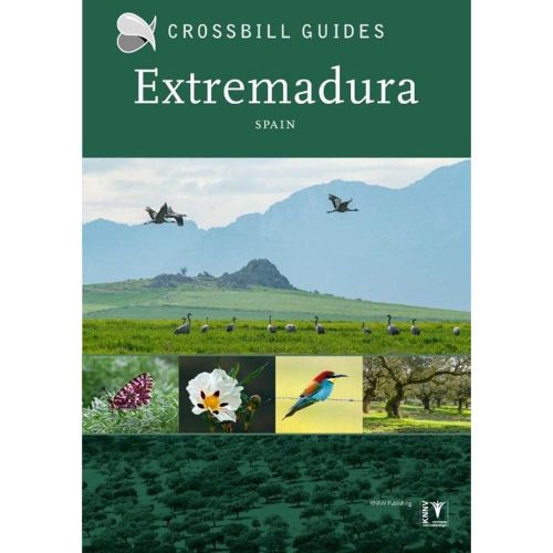 Crossbill Guide Extremadura Spain