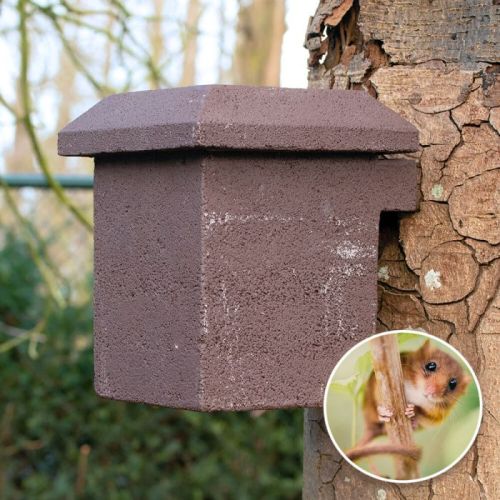 WoodStone nestkast hazelmuis